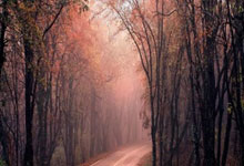 京多安帽子戏法，曼城大胜对手，燃爆欧冠赛场的简单介绍